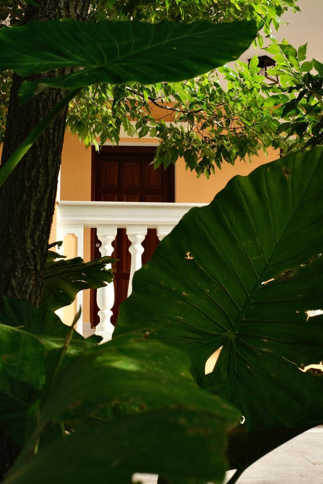 Domus Aurea Villa อาลเกโร ภายนอก รูปภาพ
