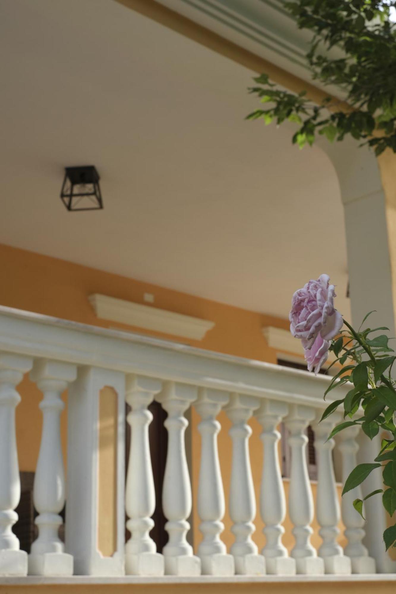 Domus Aurea Villa อาลเกโร ภายนอก รูปภาพ